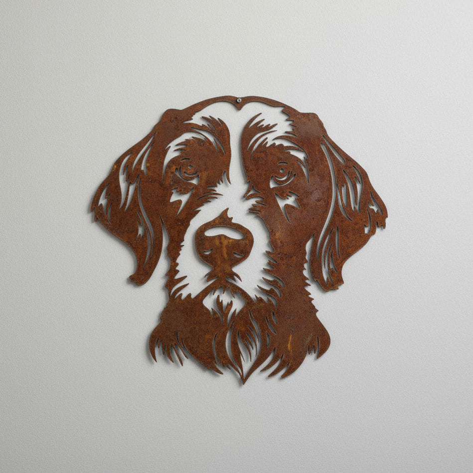 Duitse Staande Langhaar