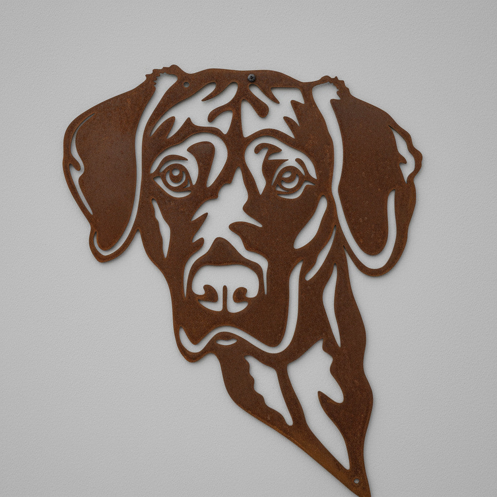 Vizsla