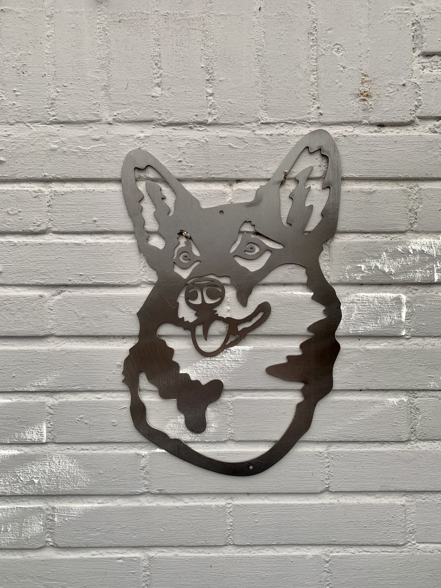 The corgi