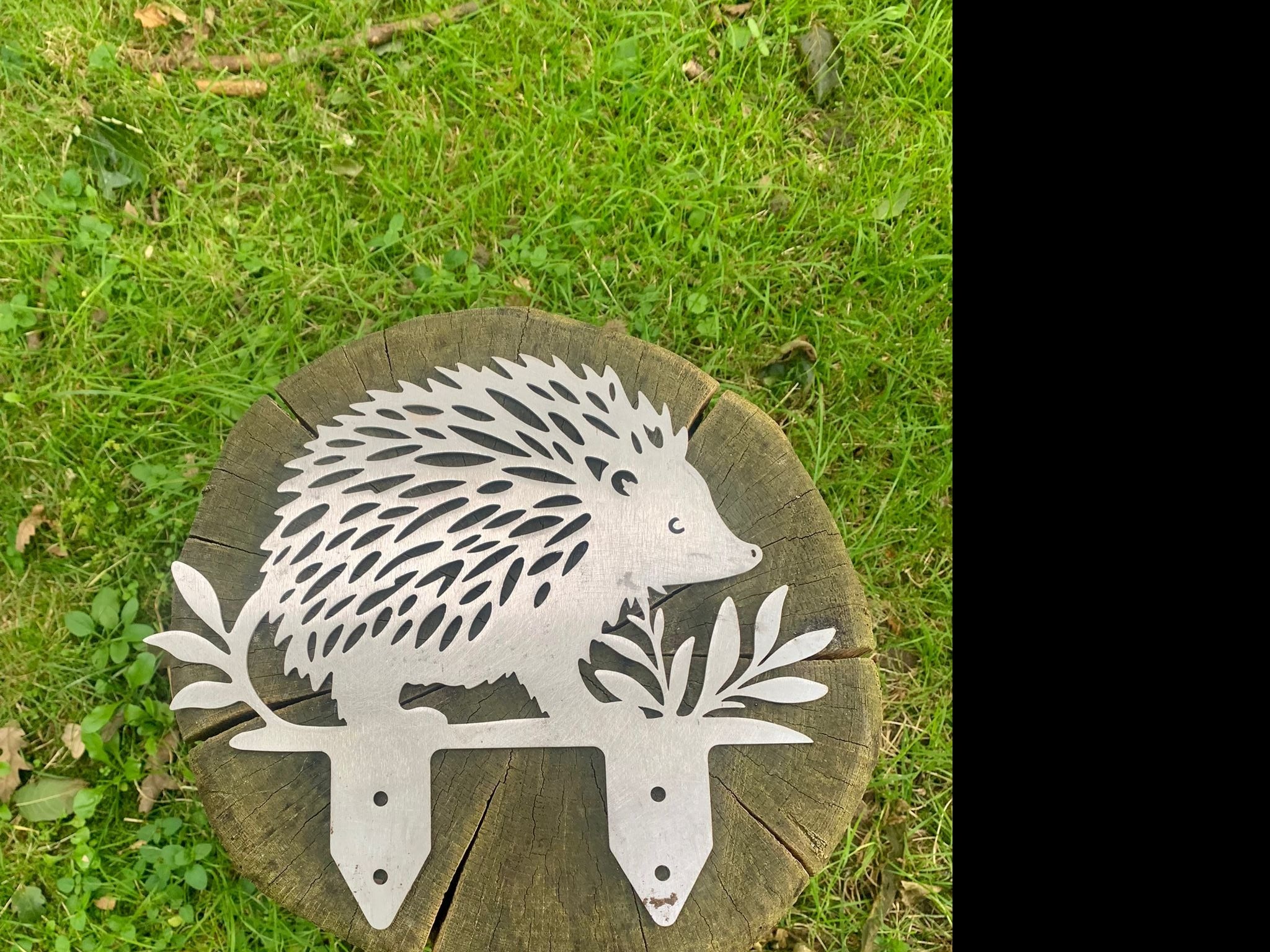 Egel - Sale