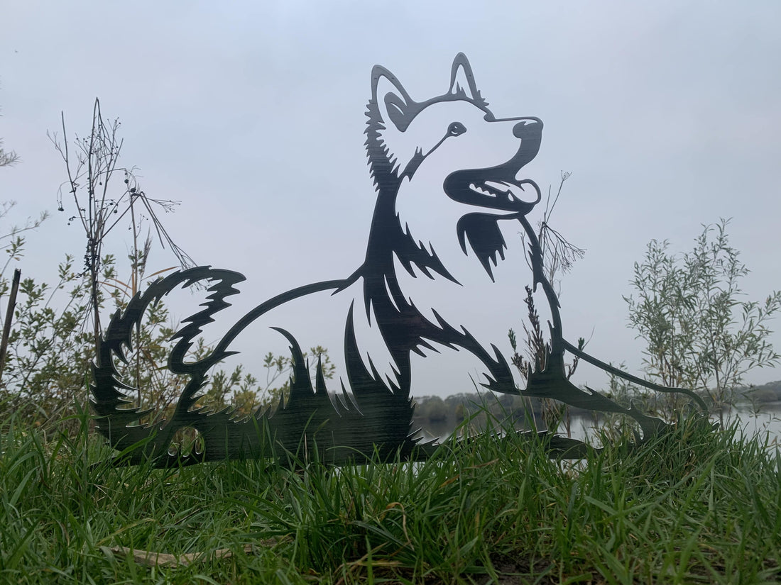 Witte Herder