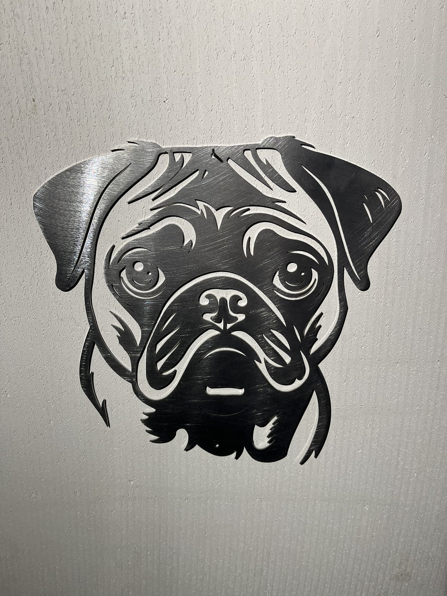 Mopshond (pug)