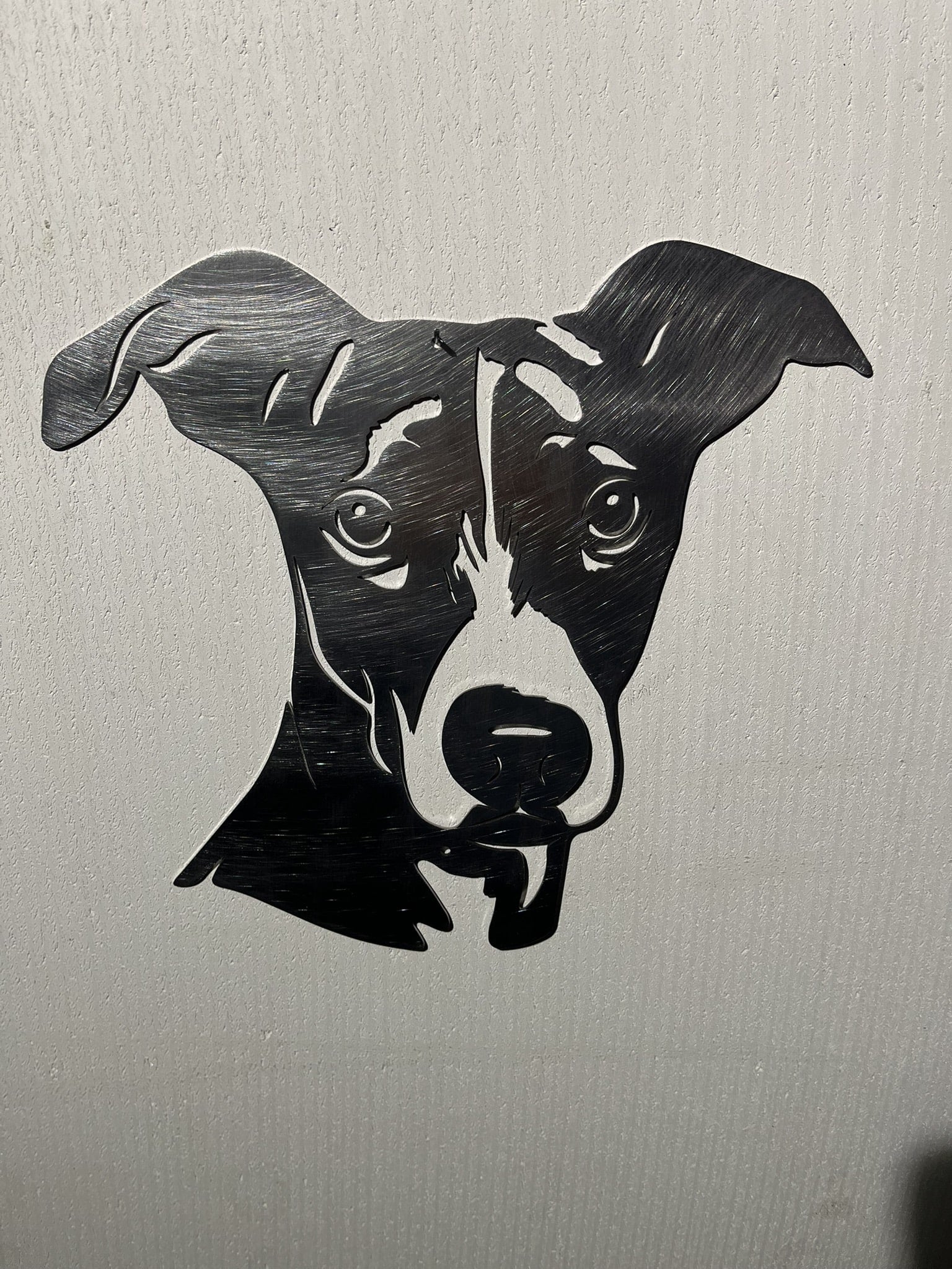 Whippet