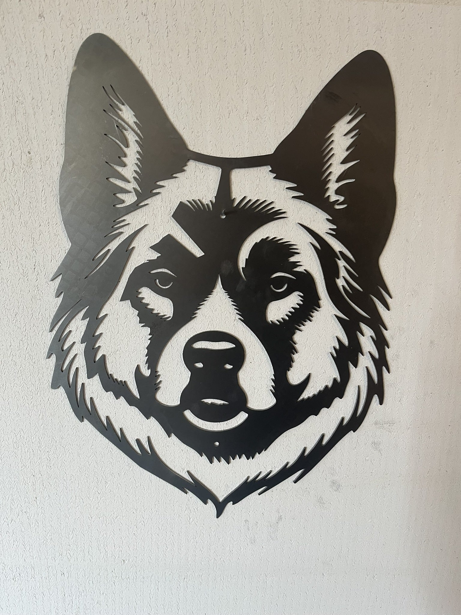 Akita