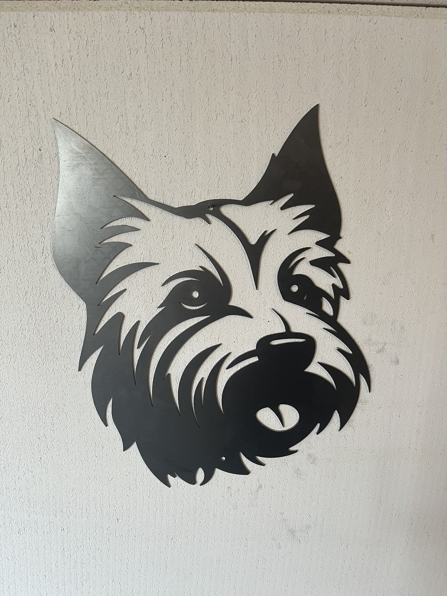 Westie