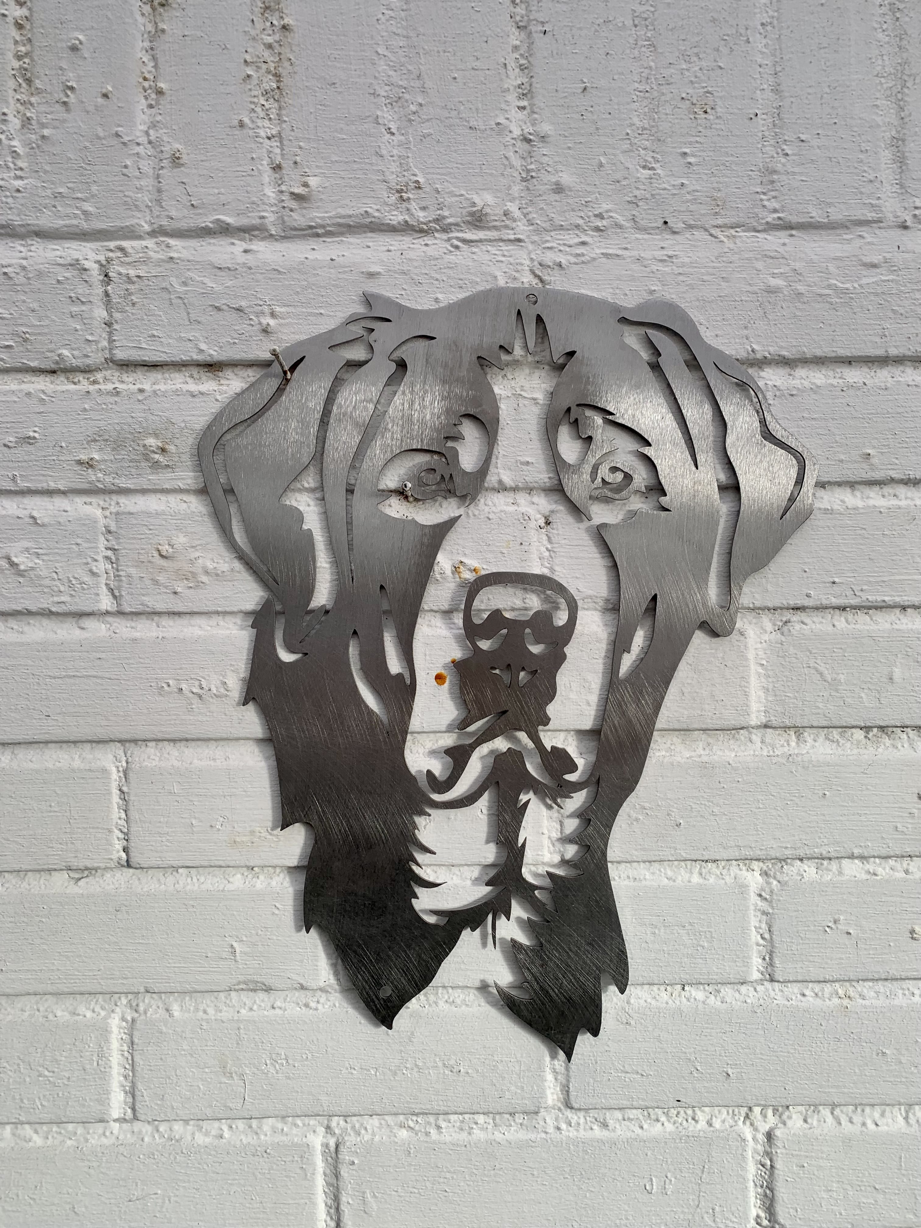 Berner Sennen