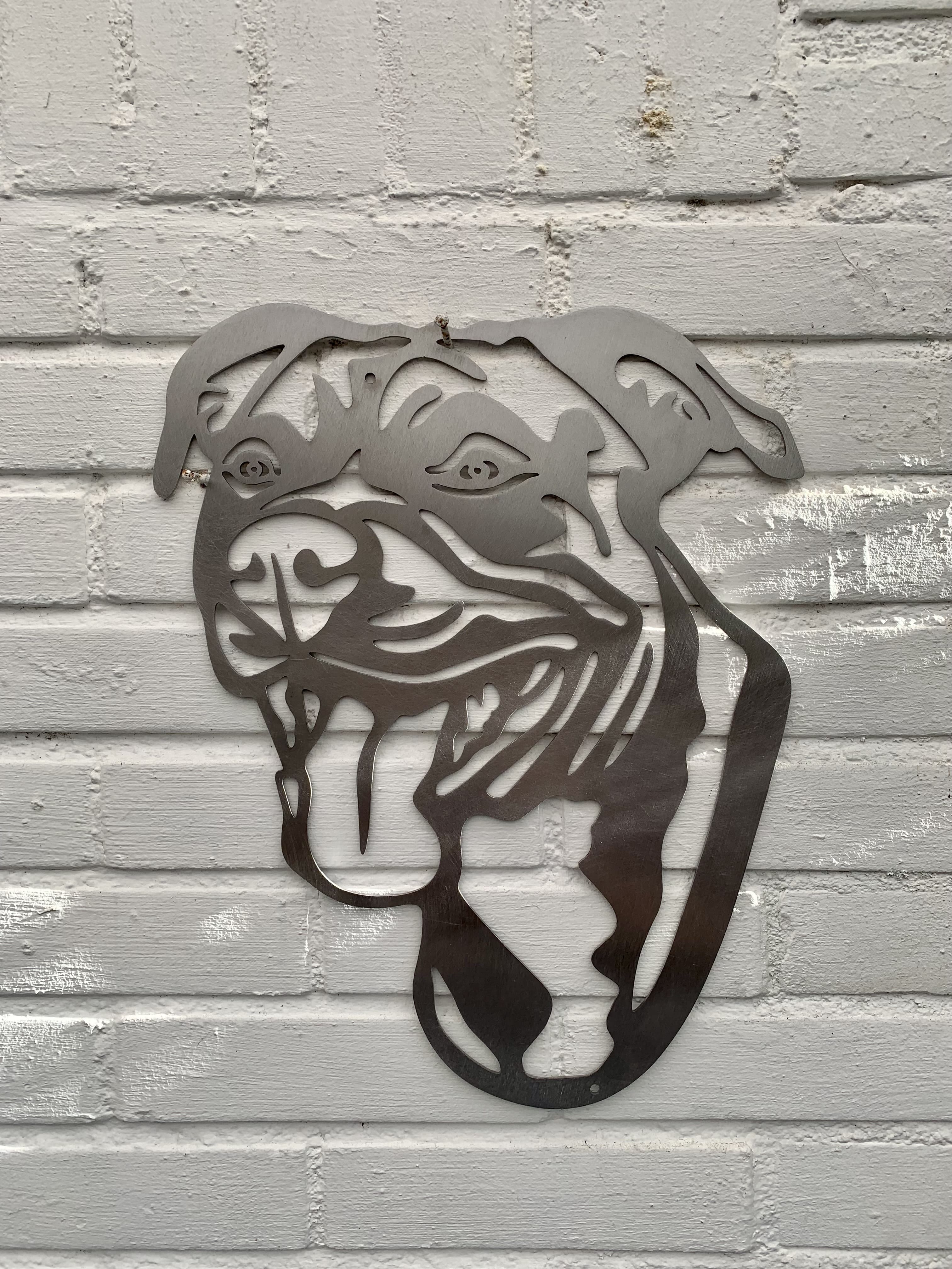 Pitbull