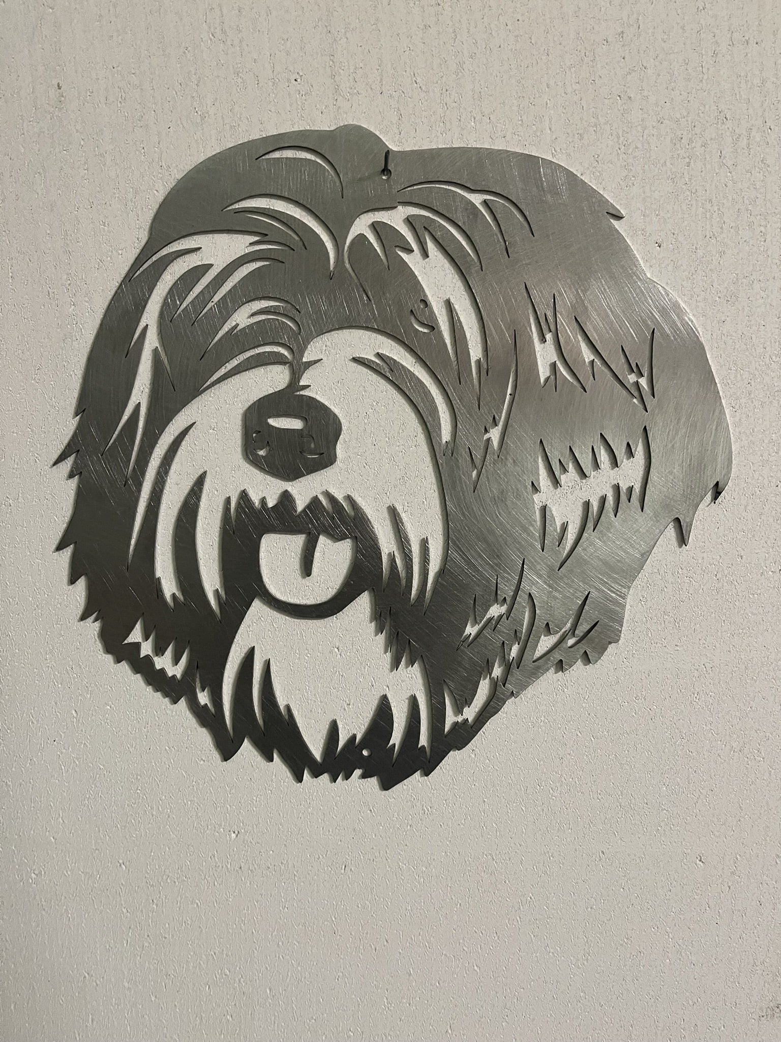 Tibetaanse Terriër