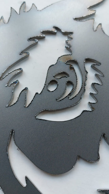 Alpaca - Licht beschadigd