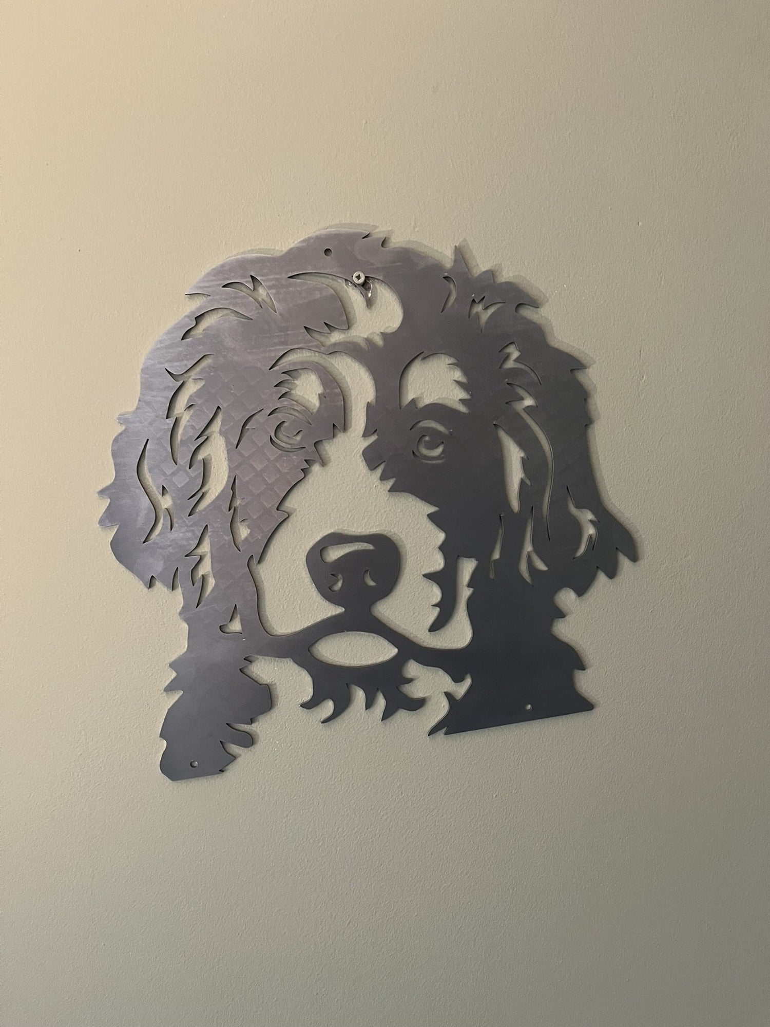 Bernerdoodle
