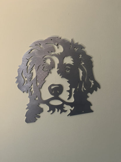 Bernerdoodle