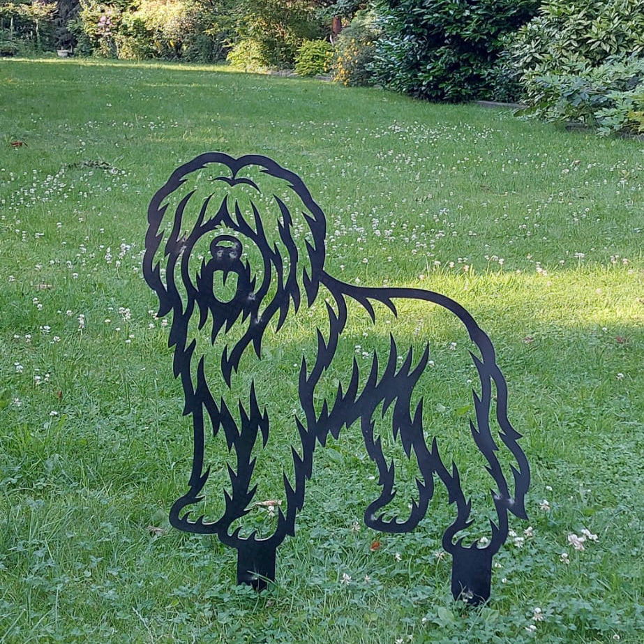 Briard - Levensecht