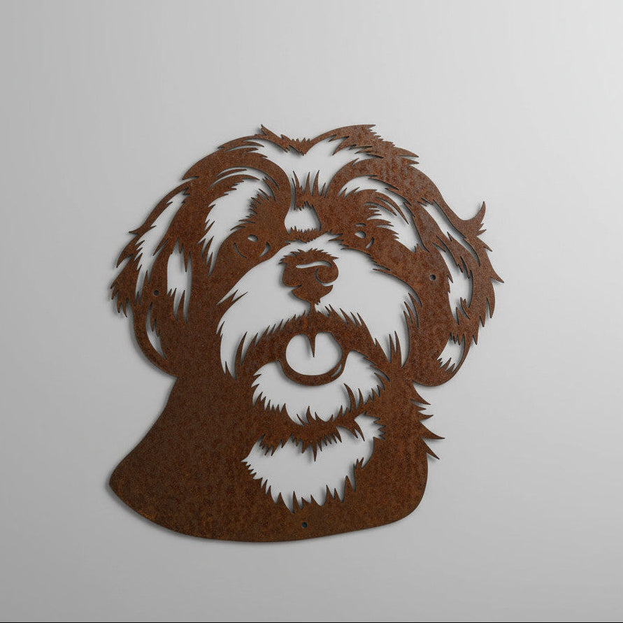 Boomer / Shih Tzu