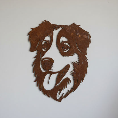 Australian shepherd