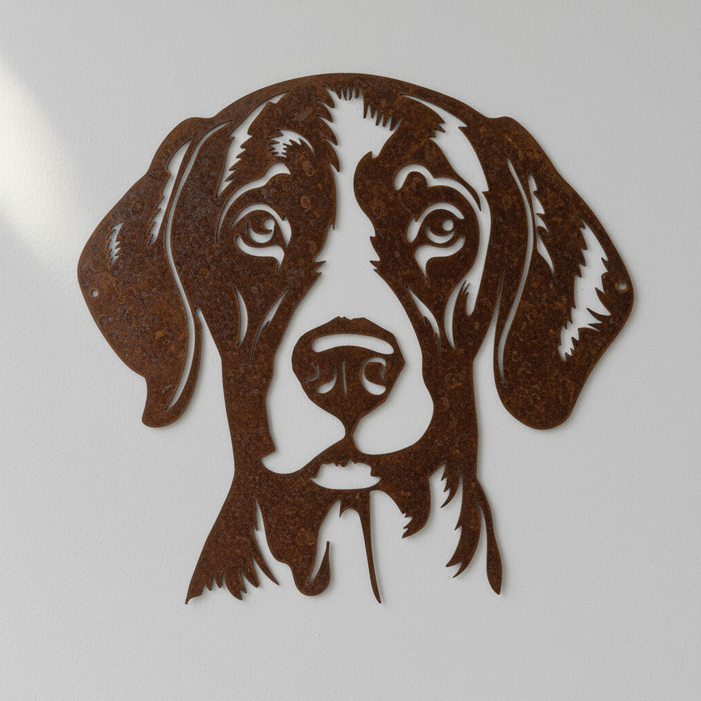 Duitse staande korthaar 1