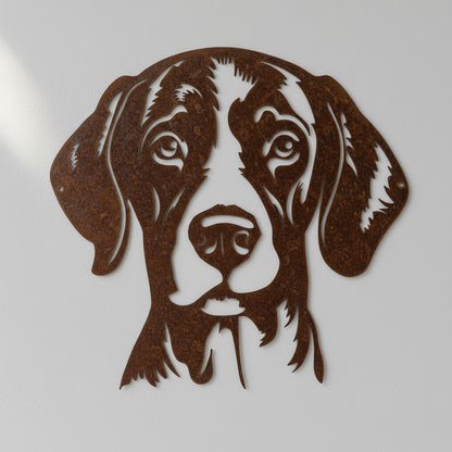 Duitse staande korthaar 1