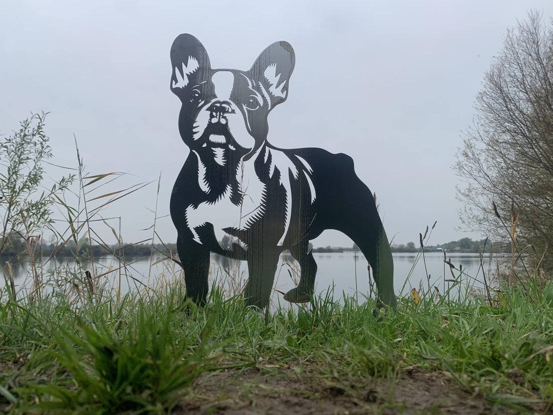 Franse Bulldog - Levensecht