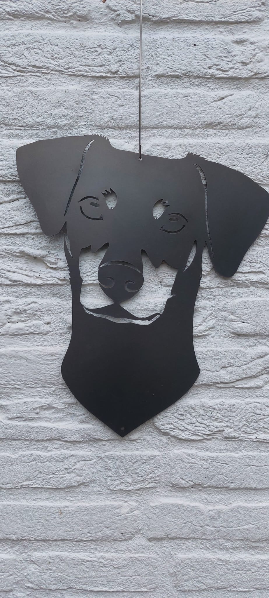 Duitse pinscher