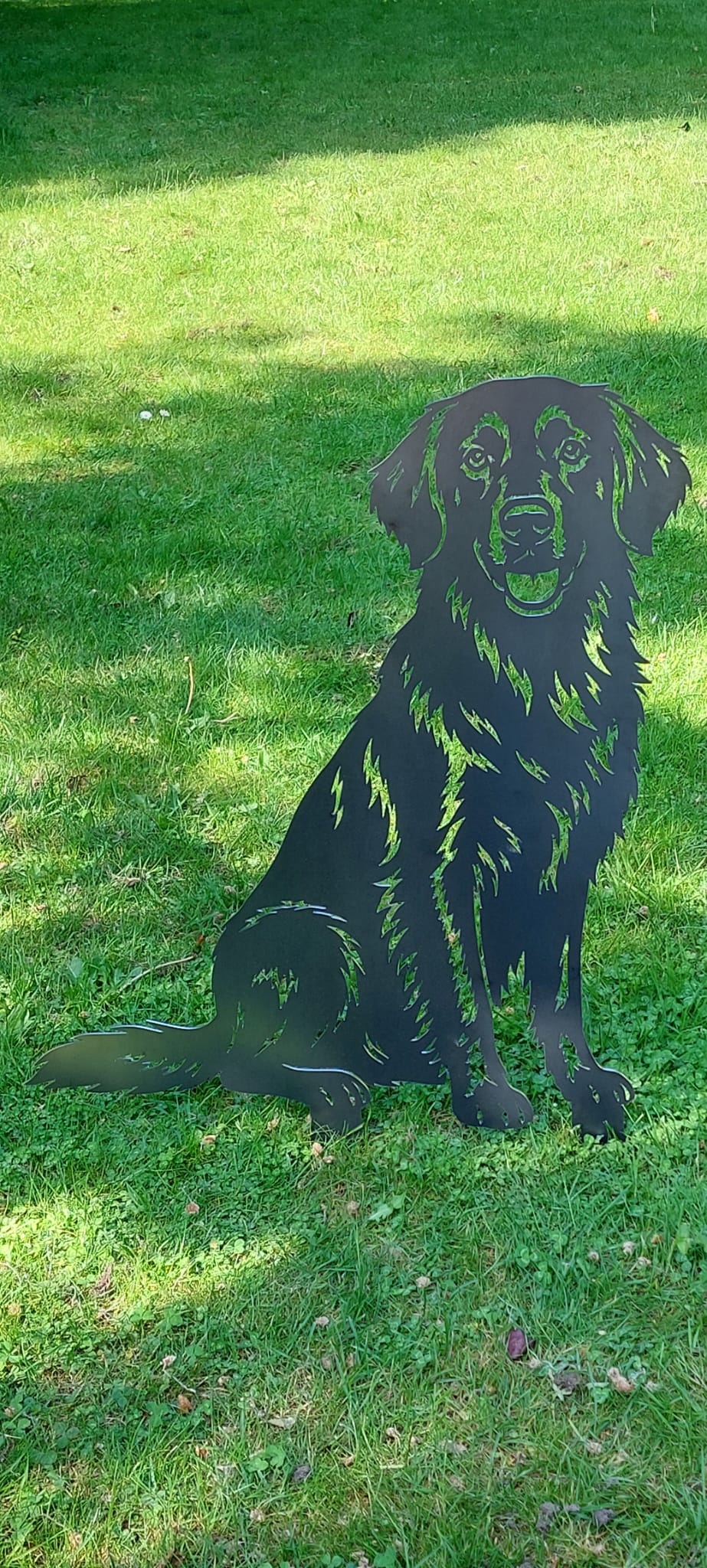 Flatcoat retriever - Levensecht