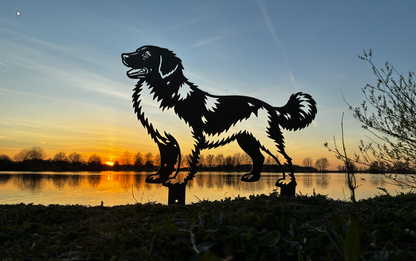 Friese Stabij - Levensecht
