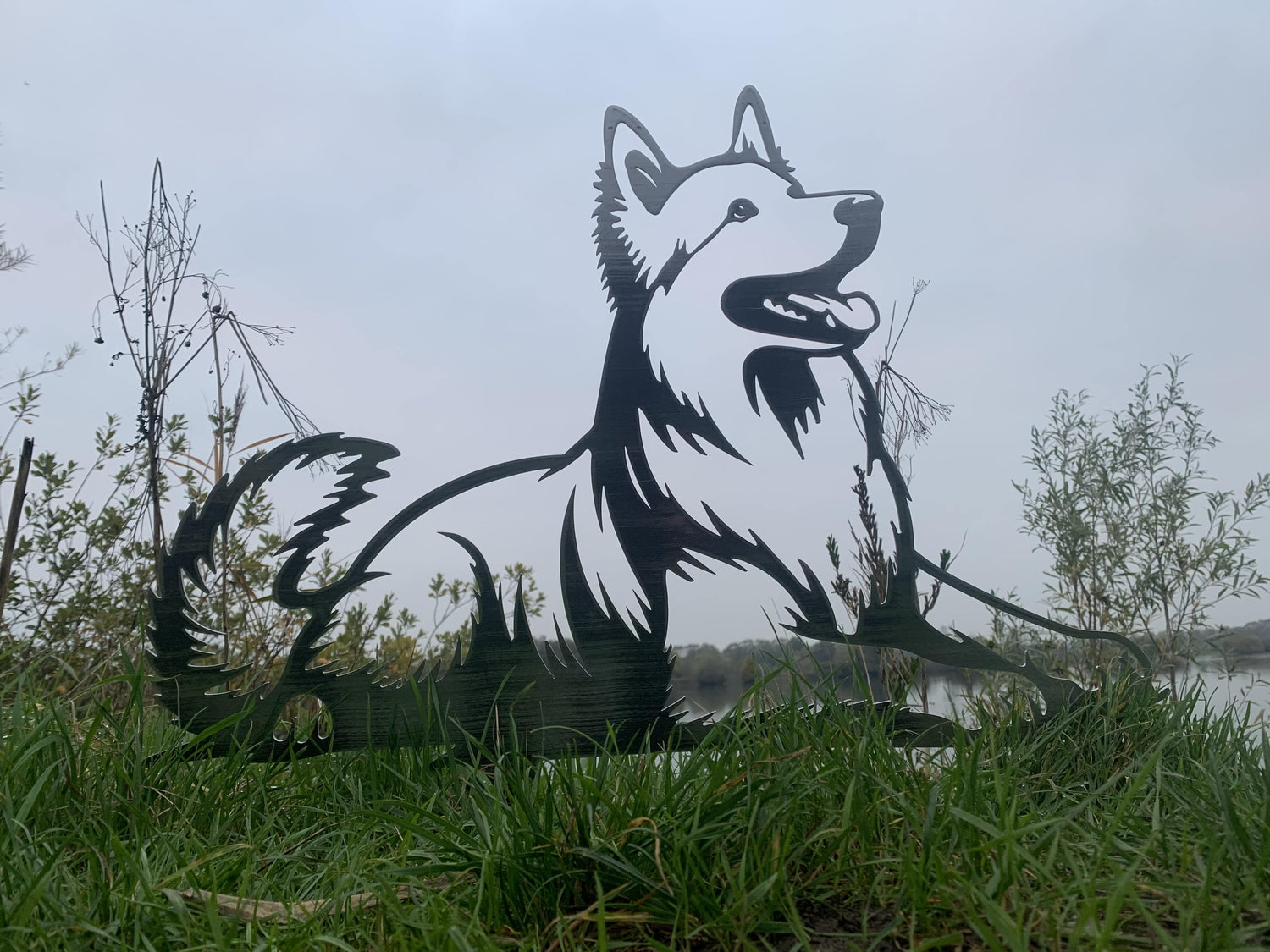 Witte Herder
