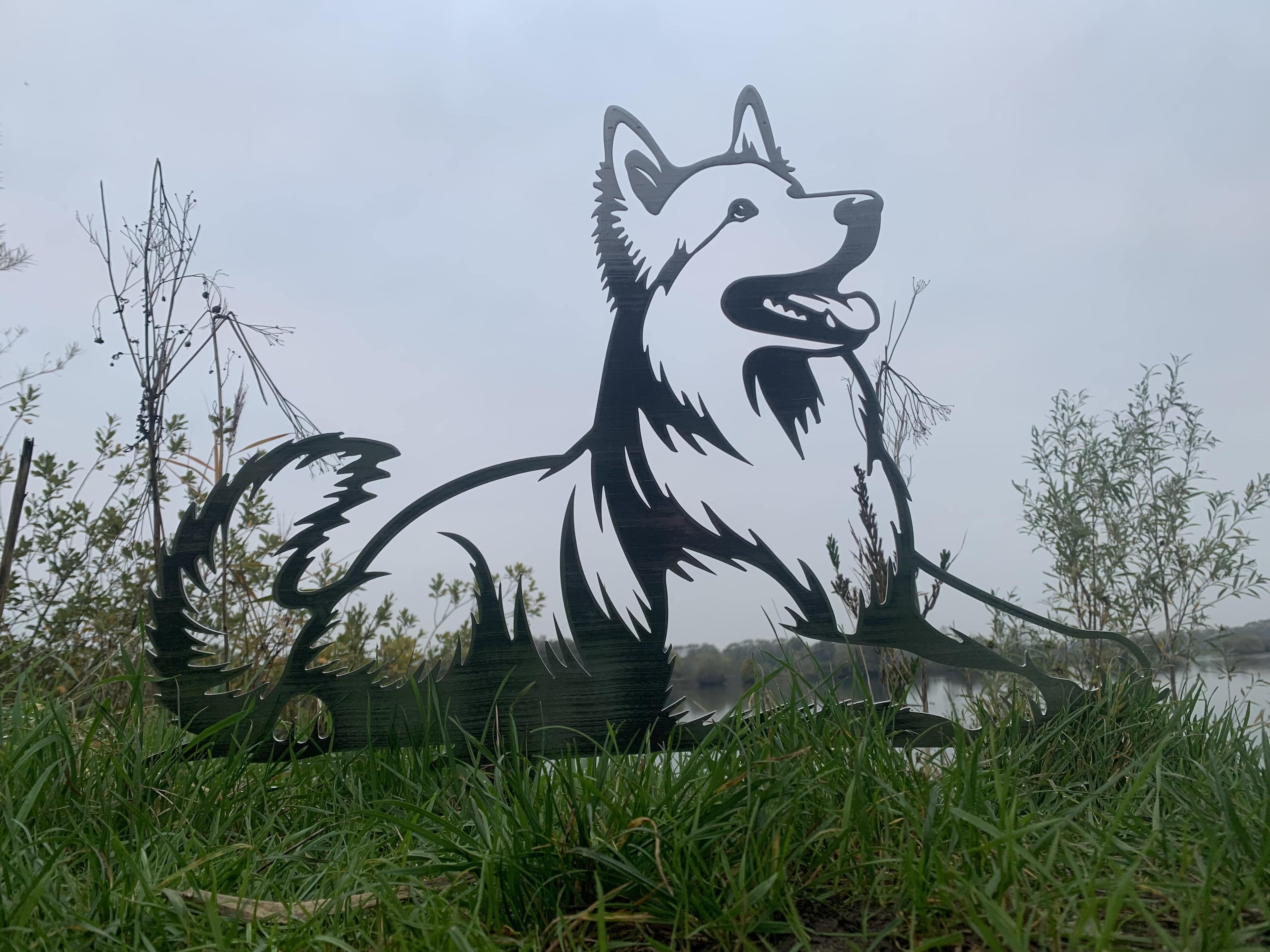 Witte Herder