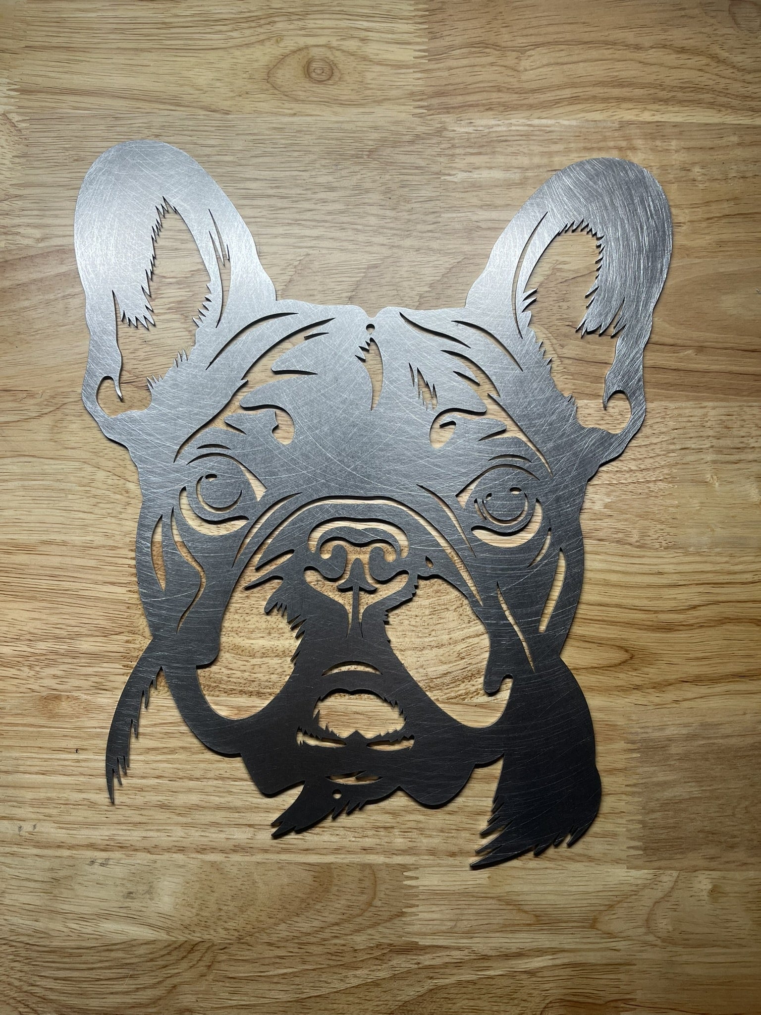 Franse Bulldog