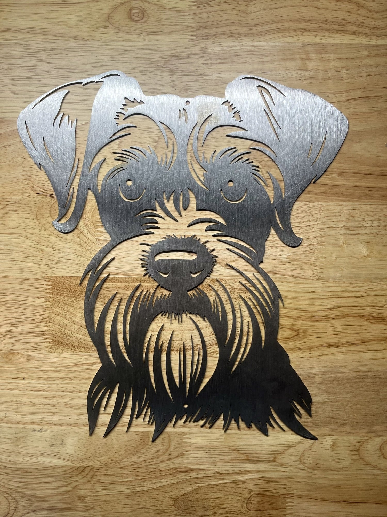 Dwergschnauzer