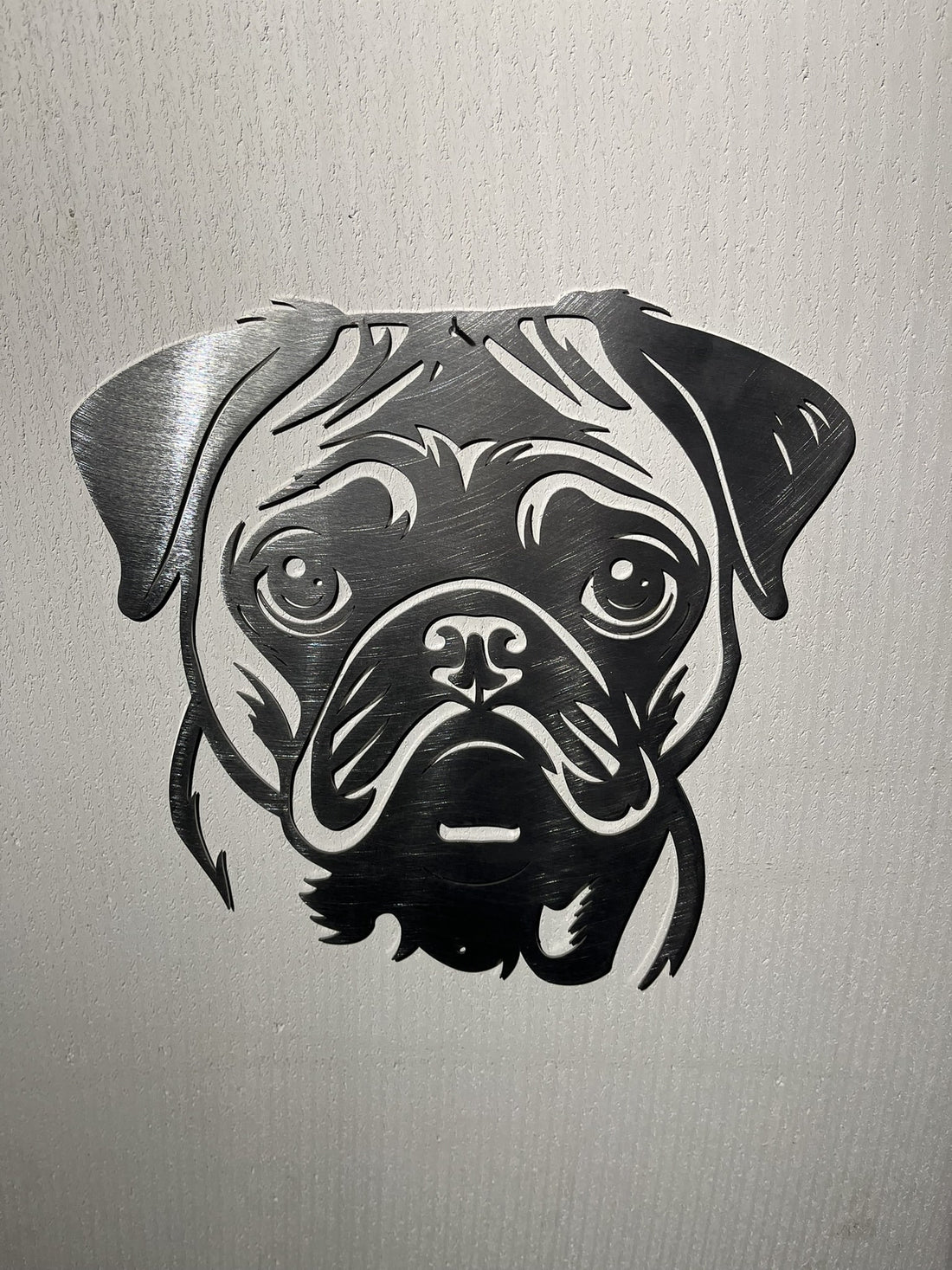 Mopshond (pug)