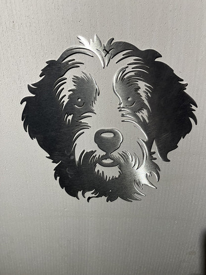 Labradoodle
