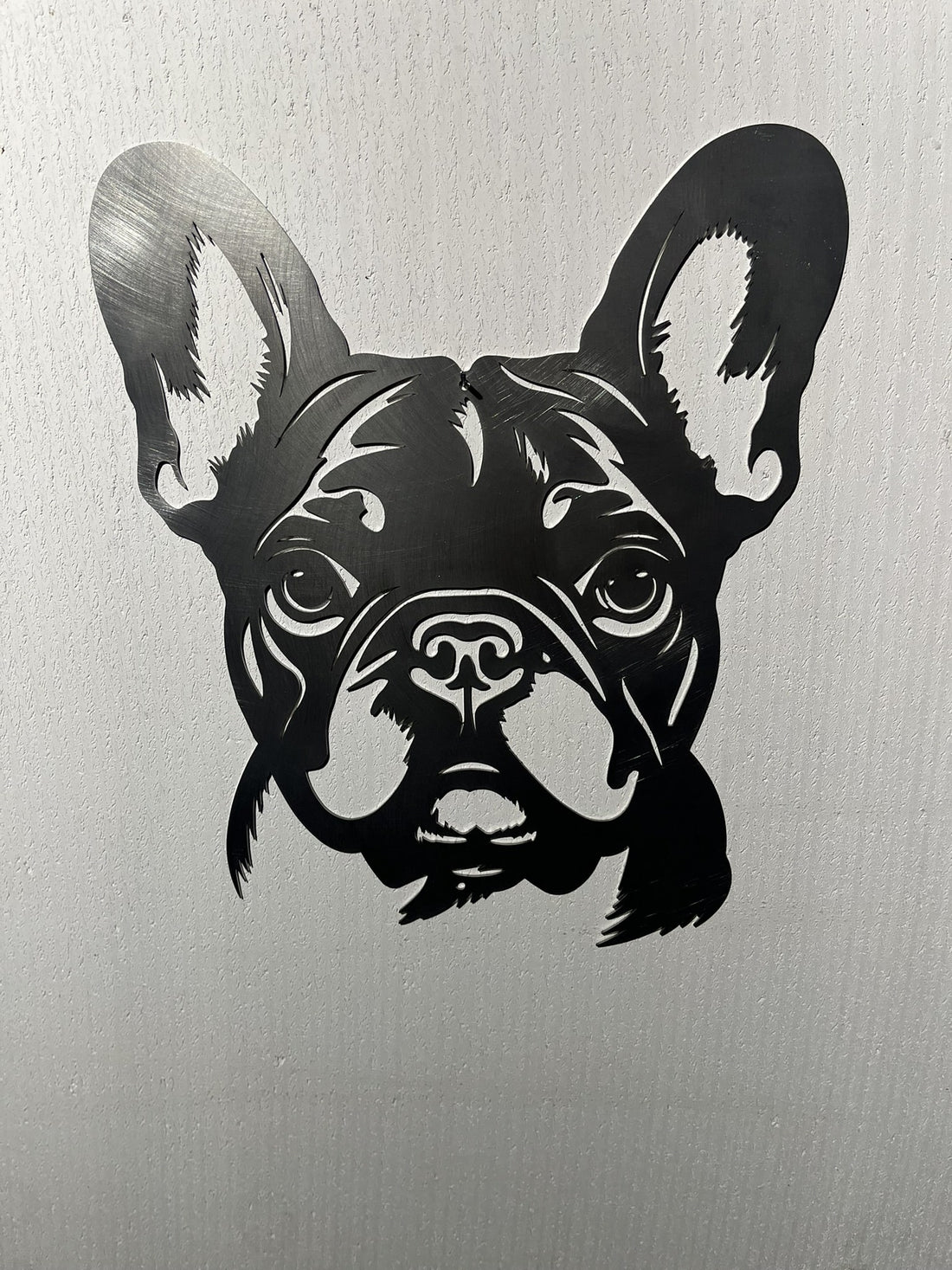 Franse Bulldog