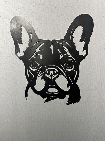 Franse Bulldog