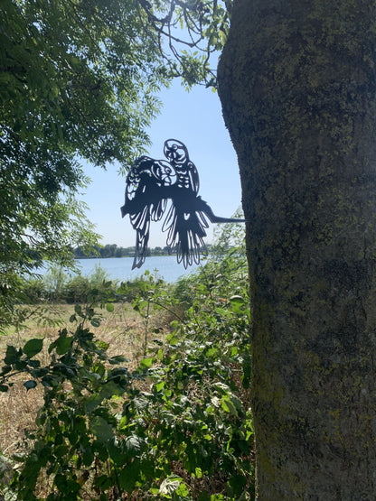 The parrot