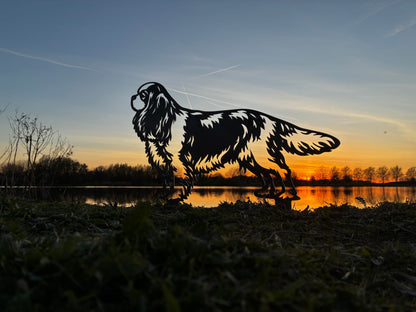 Cavalier King Charles Spaniël - Levensecht