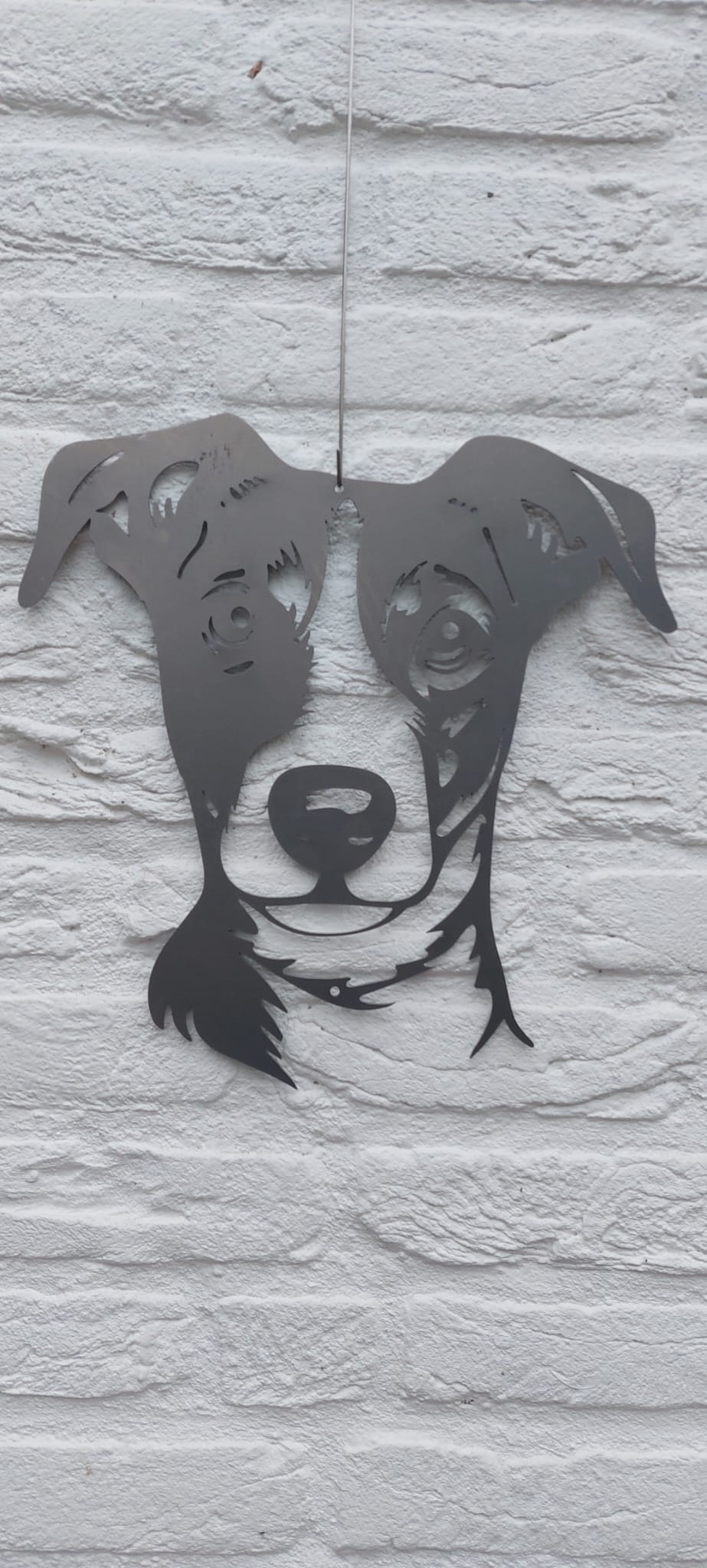 Jack Russell