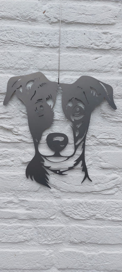 Jack Russell