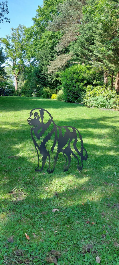 Leonberger - Levensecht