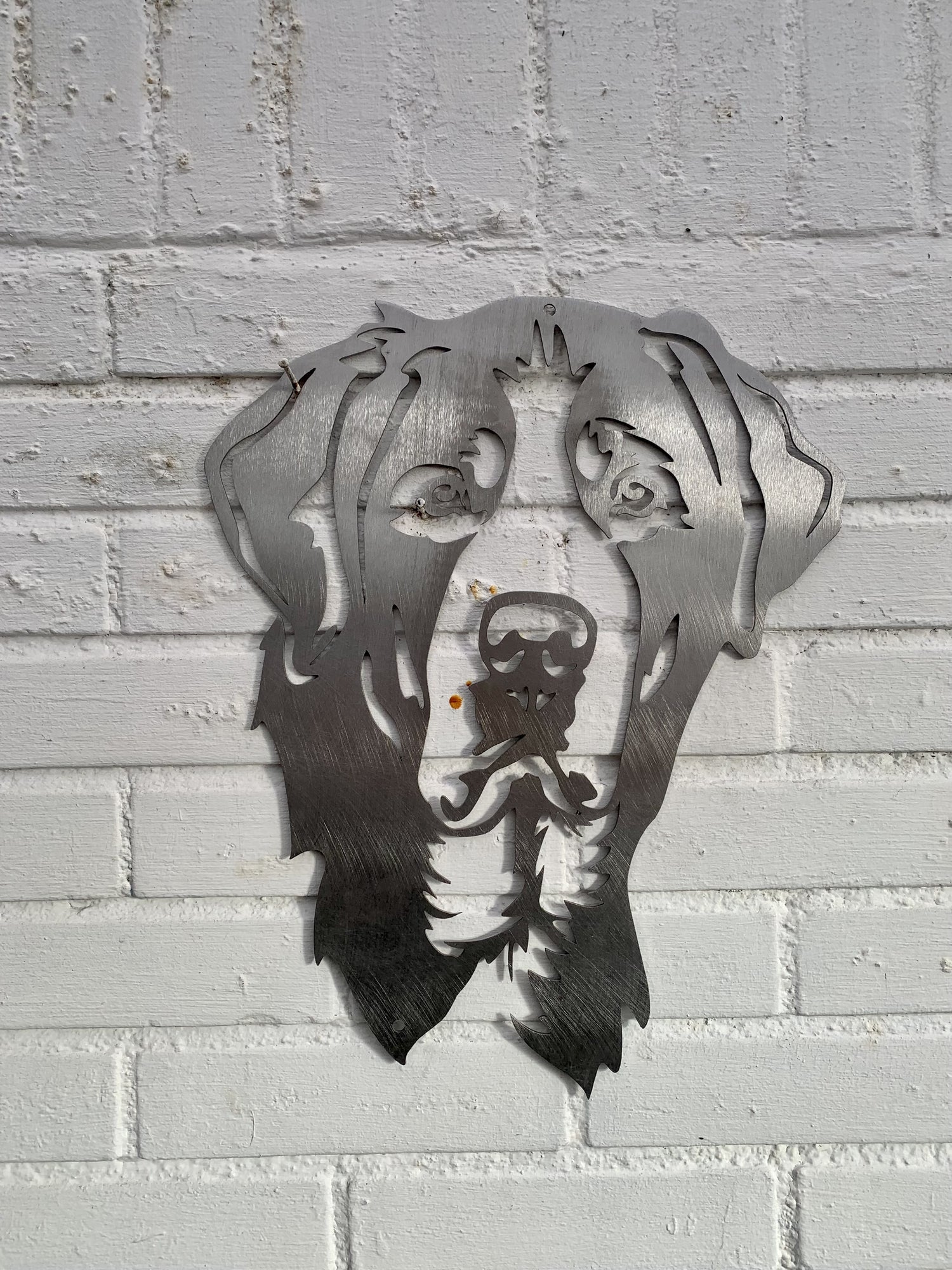 Berner Sennen