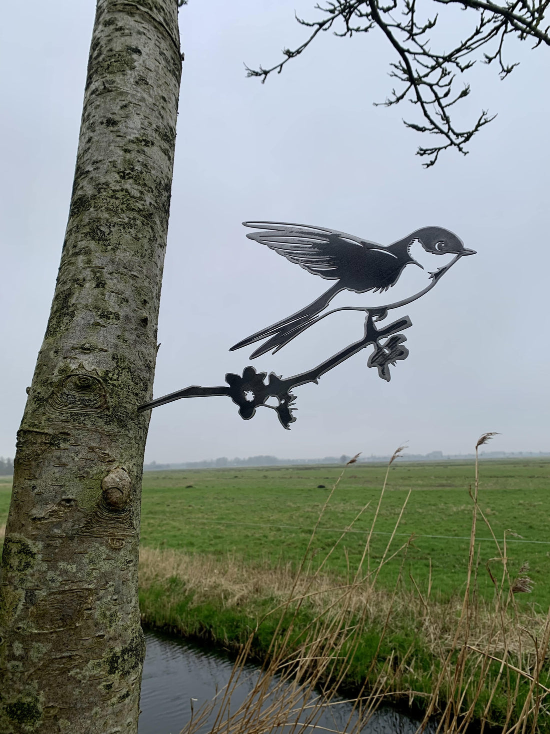 The swallow 
