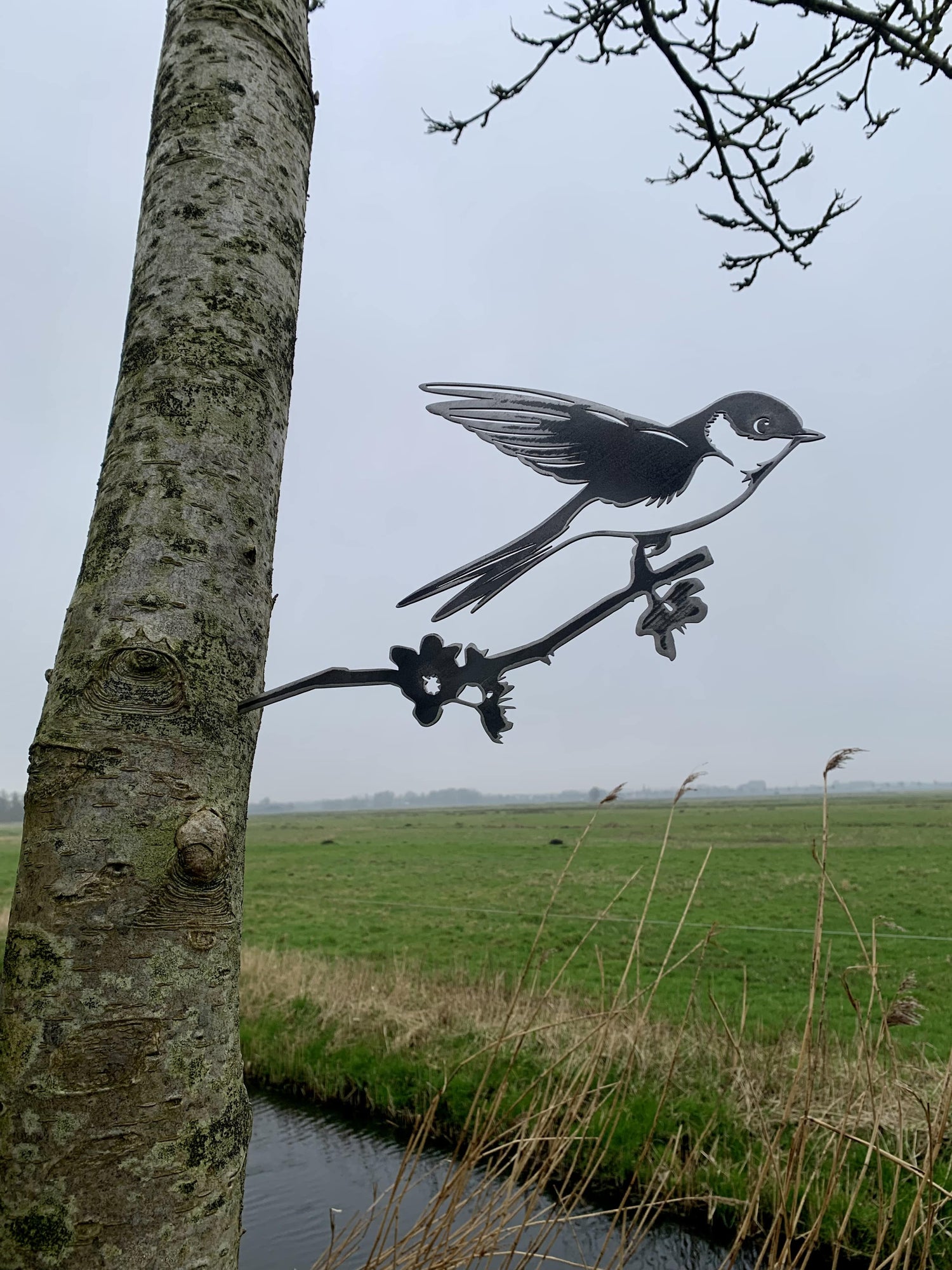 The swallow 