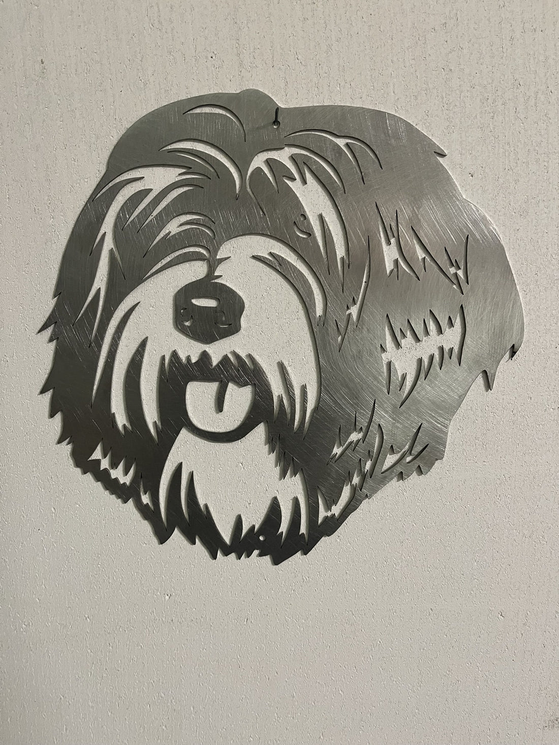 Tibetaanse Terriër