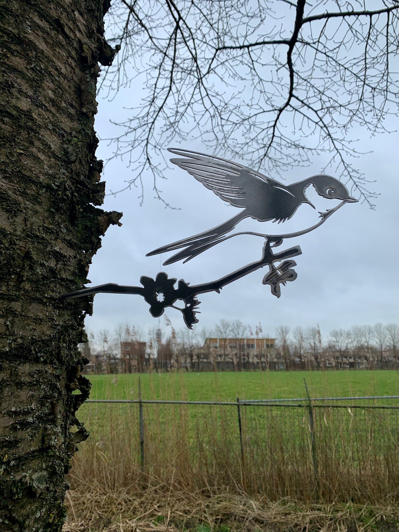 The swallow 